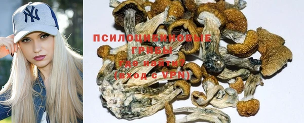 тгк Абинск