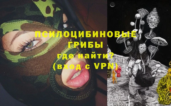 тгк Абинск