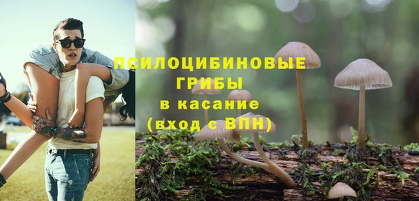 тгк Абинск