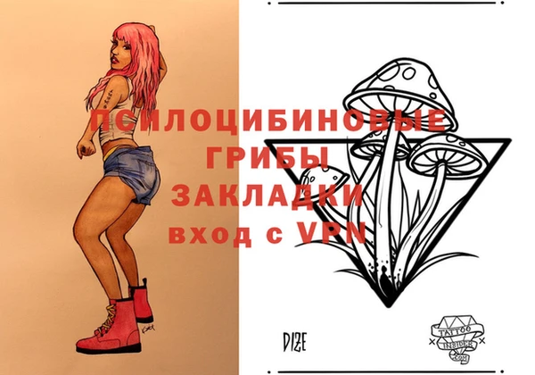 а пвп мука Абаза